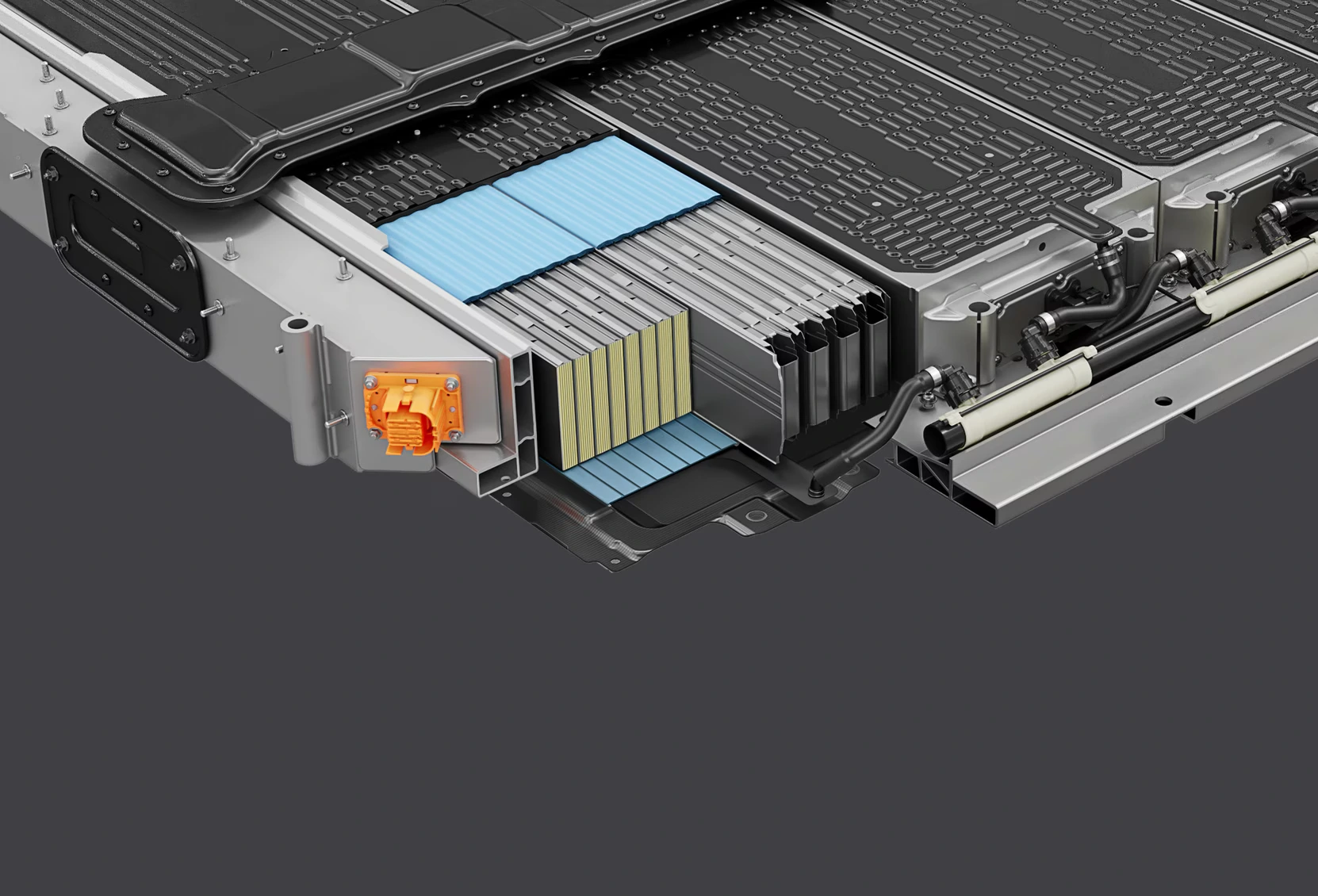 section img